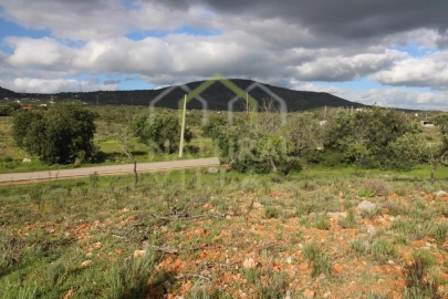 Terreno Agricola ou Rústico para Venda em Conceição e Estoi