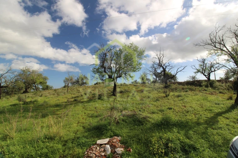 Terreno Agricola ou Rústico para Venda em Conceição e Estoi Foto 4