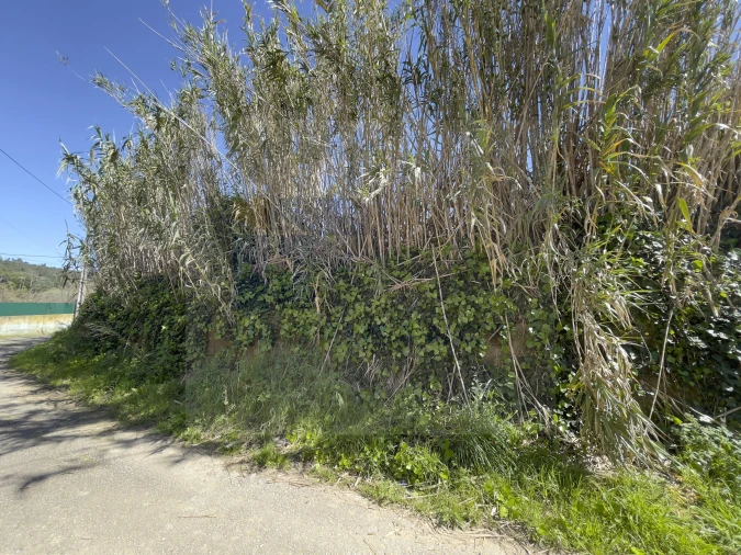 Terreno para Venda em Lourinhã e Atalaia Foto 2