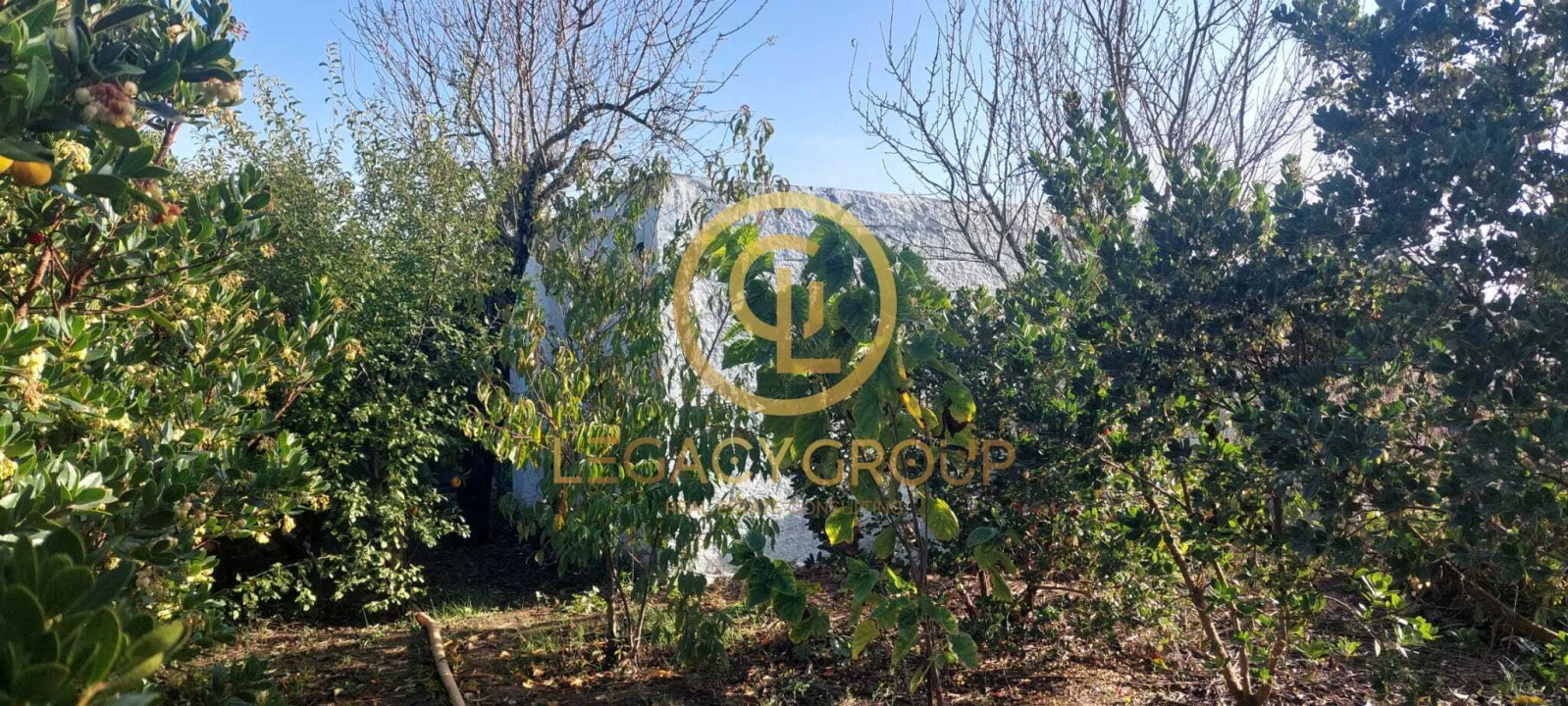 Terreno para Venda em Entradas Foto 14