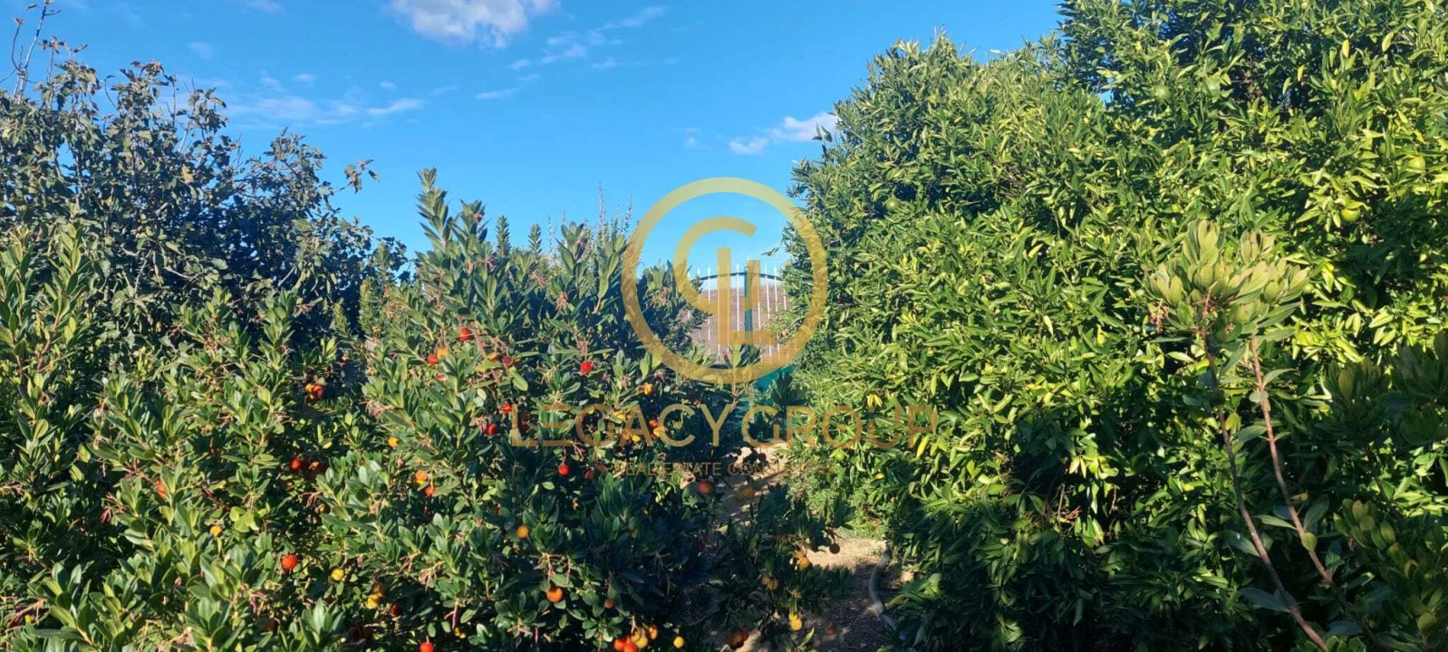 Terreno para Venda em Entradas Foto 11