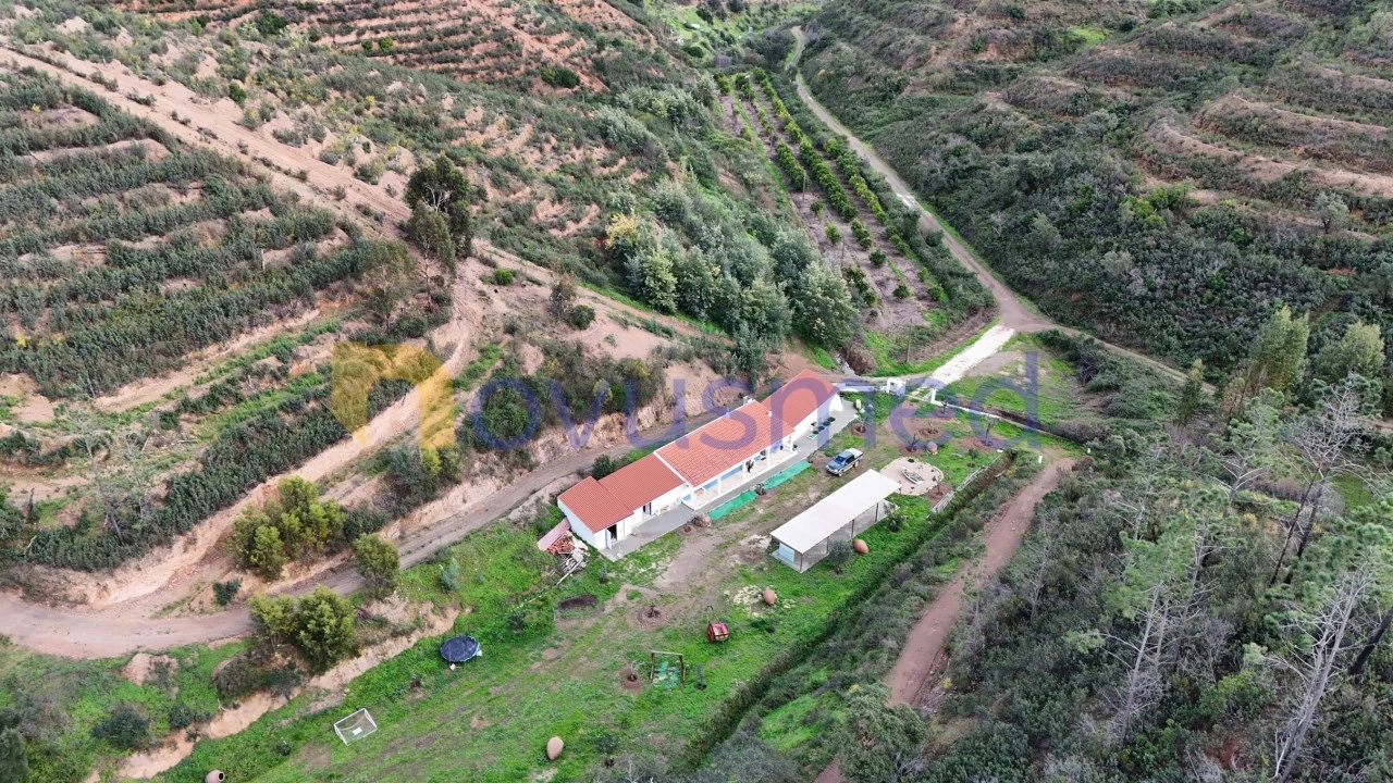 Quinta T2 para Venda em Alferce Foto 4