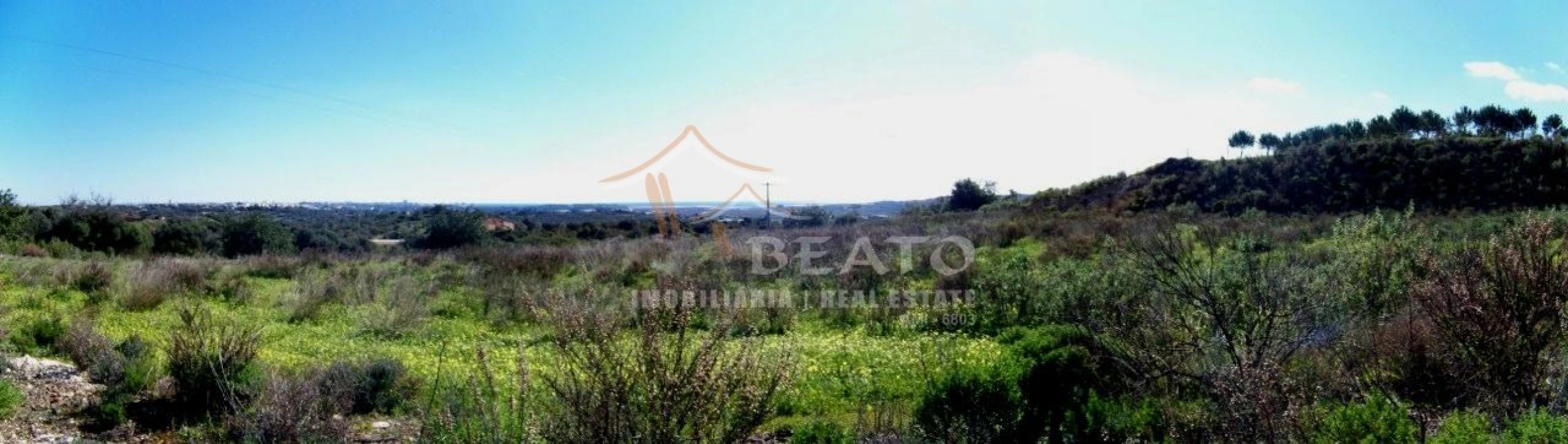 Terreno Agricola ou Rústico para Venda em Mexilhoeira Grande Foto 3