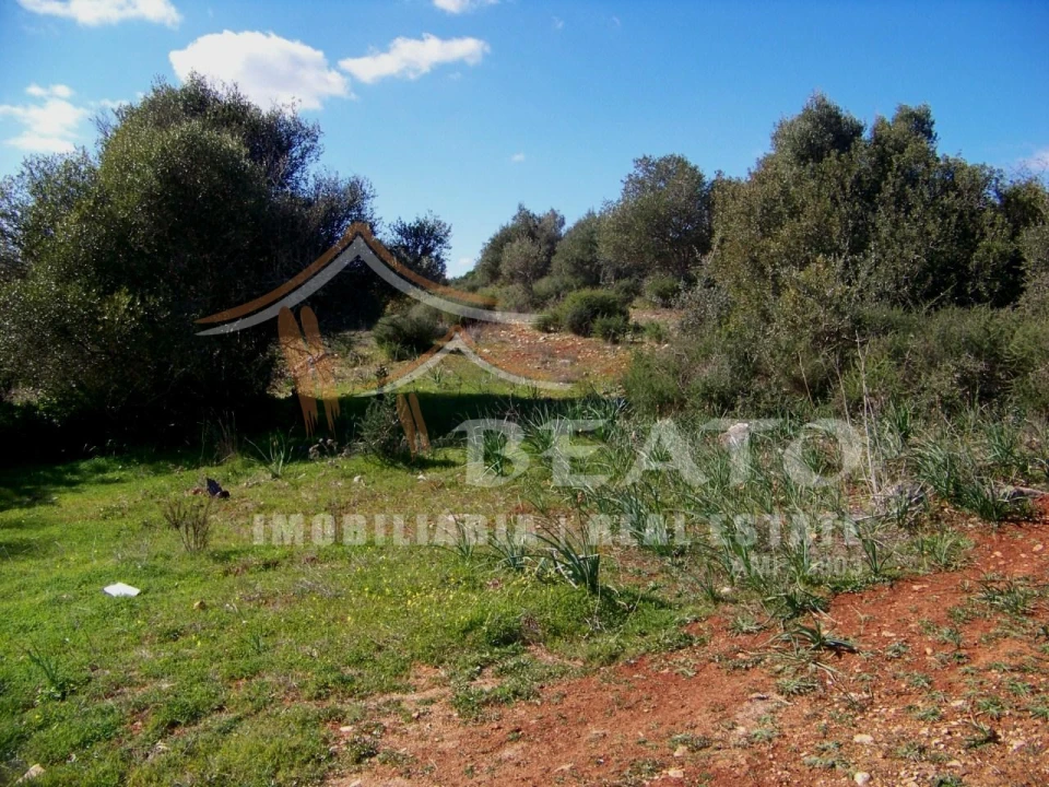 Terreno Agricola ou Rústico para Venda em Mexilhoeira Grande Foto 4