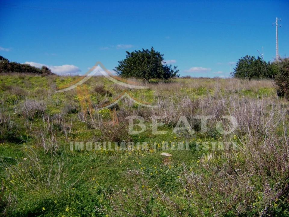 Terreno Agricola ou Rústico para Venda em Mexilhoeira Grande Foto 5