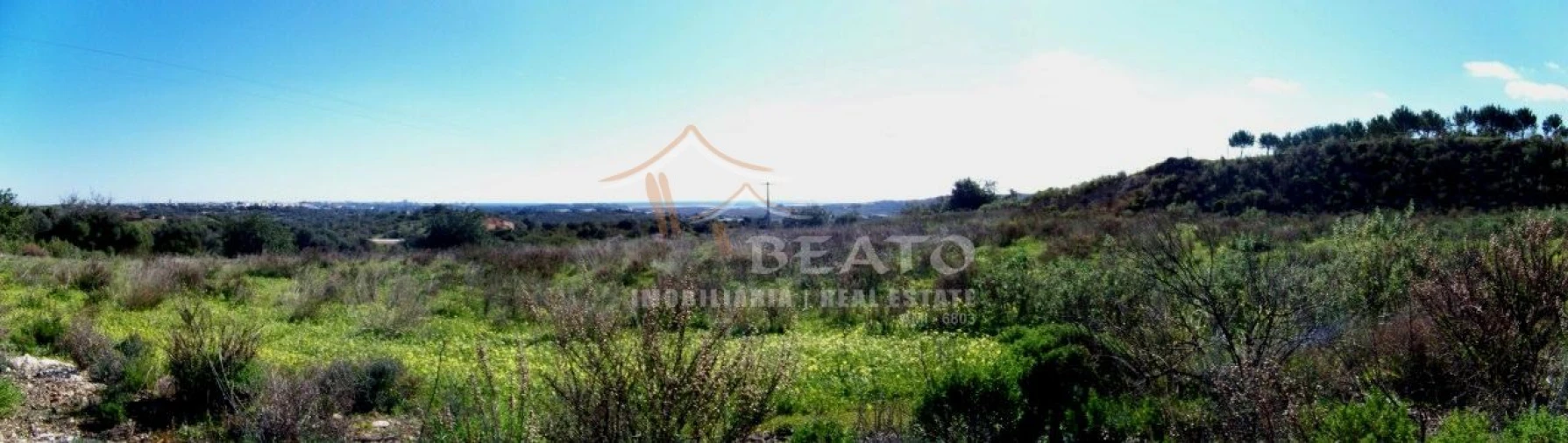 Terreno Agricola ou Rústico para Venda em Mexilhoeira Grande Foto 3