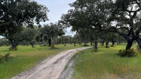 Quinta T10 para Venda em Odivelas
