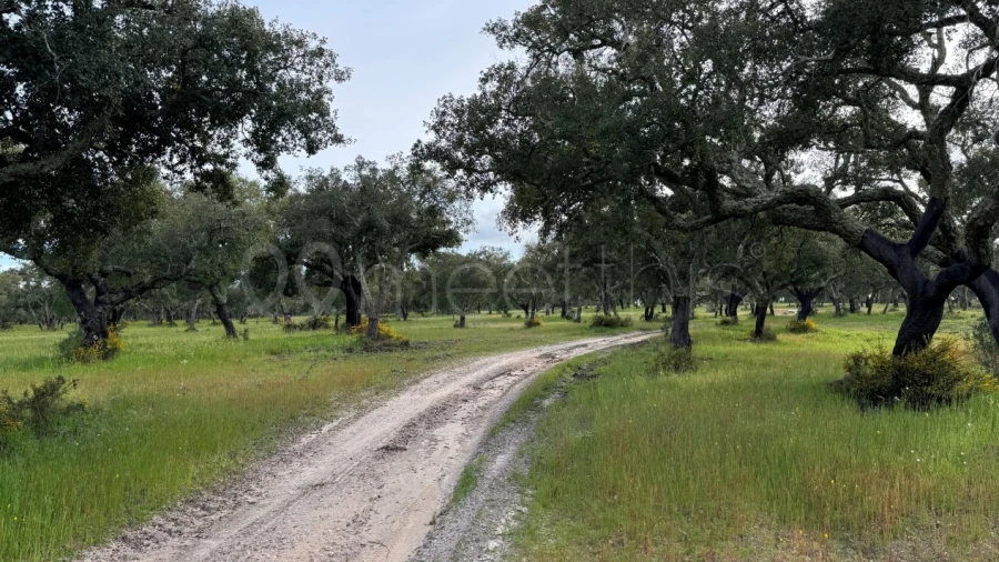 Quinta T10 para Venda em Odivelas