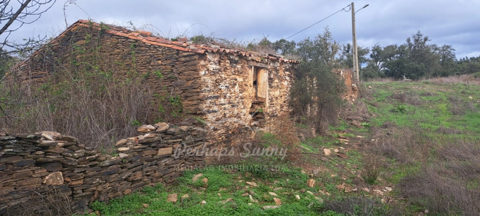 Terreno Misto para Venda em Reliquias Foto 3