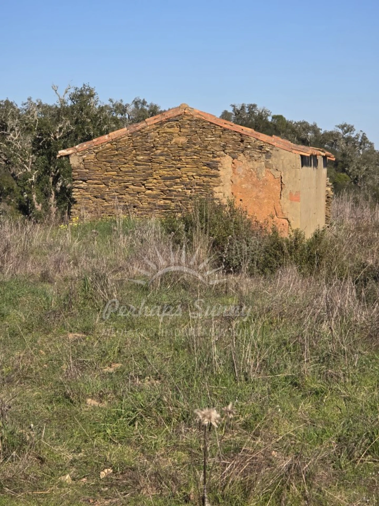 Terreno Misto para Venda em Reliquias Foto 7