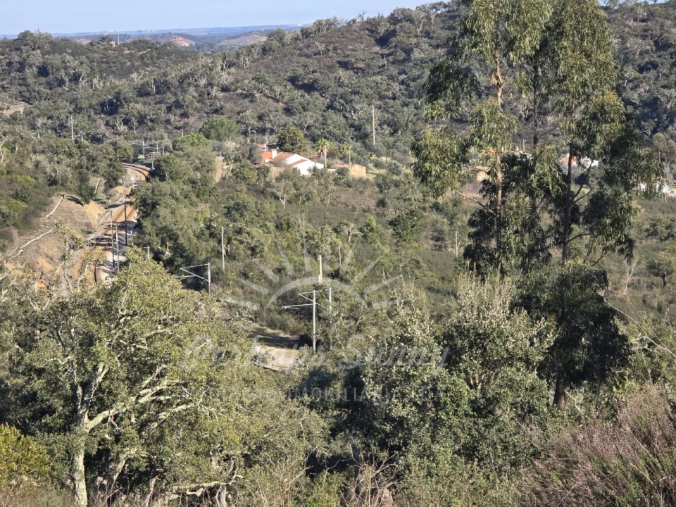 Terreno Misto para Venda em Reliquias Foto 20