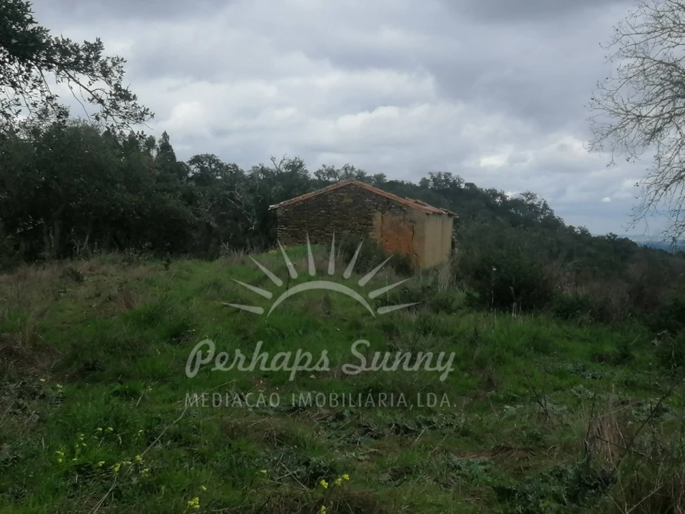 Terreno Misto para Venda em Reliquias Foto 11