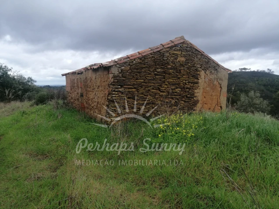 Terreno Misto para Venda em Reliquias Foto 6