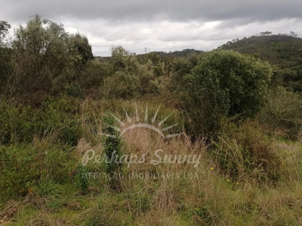Terreno Misto para Venda em Reliquias Foto 21