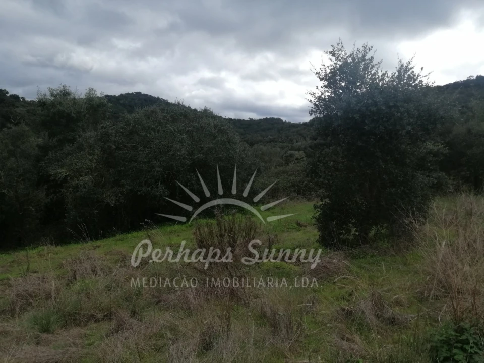 Terreno Misto para Venda em Reliquias Foto 23