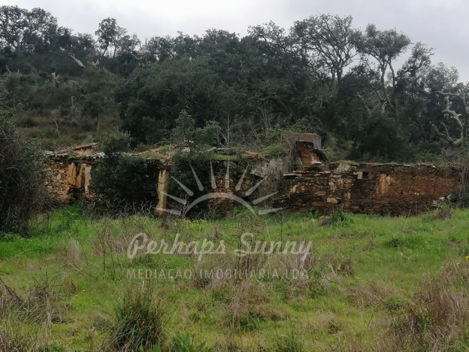 Terreno Misto para Venda em Reliquias Foto 12