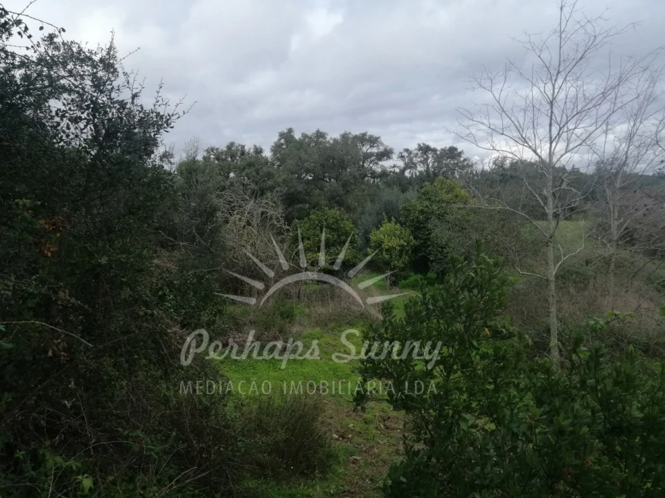 Terreno Misto para Venda em Reliquias Foto 24