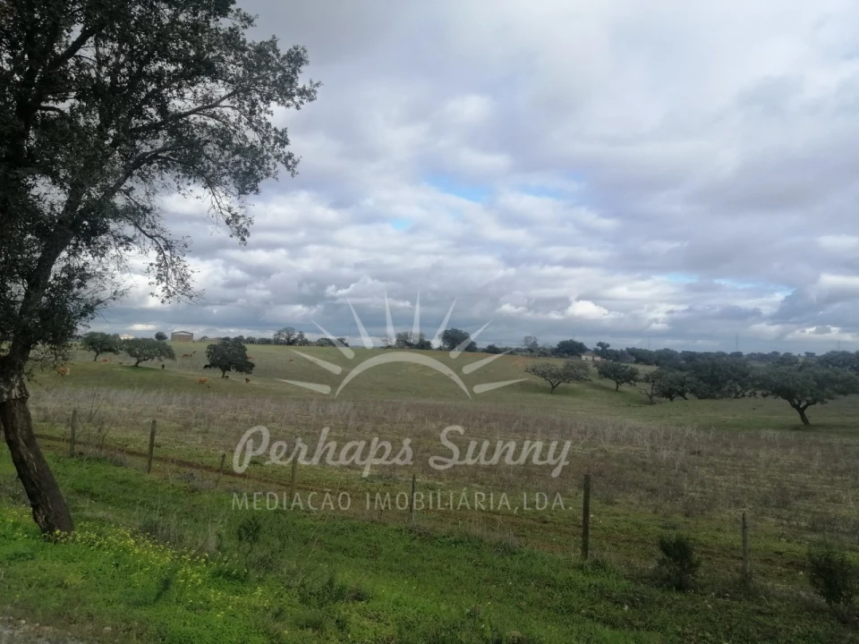 Terreno Misto para Venda em Reliquias Foto 29