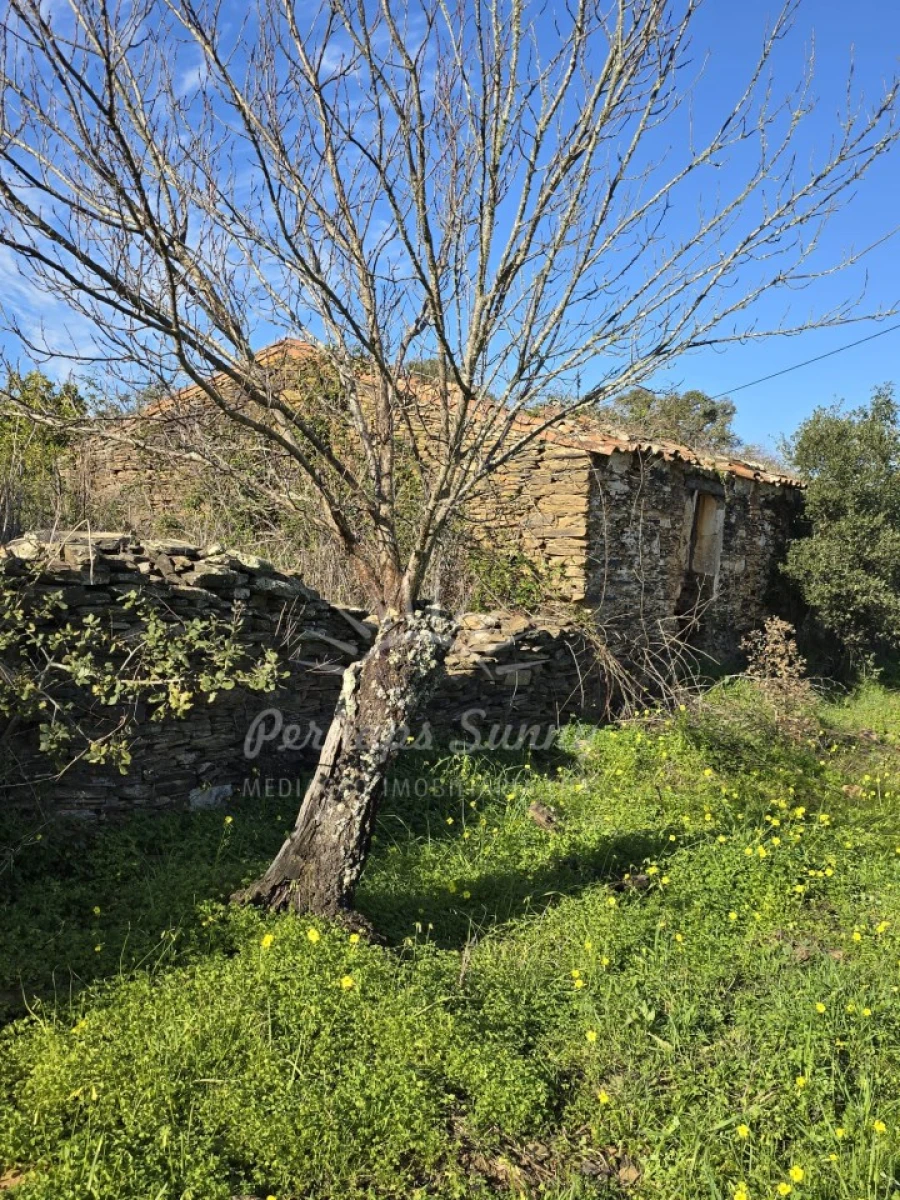 Terreno Misto para Venda em Reliquias