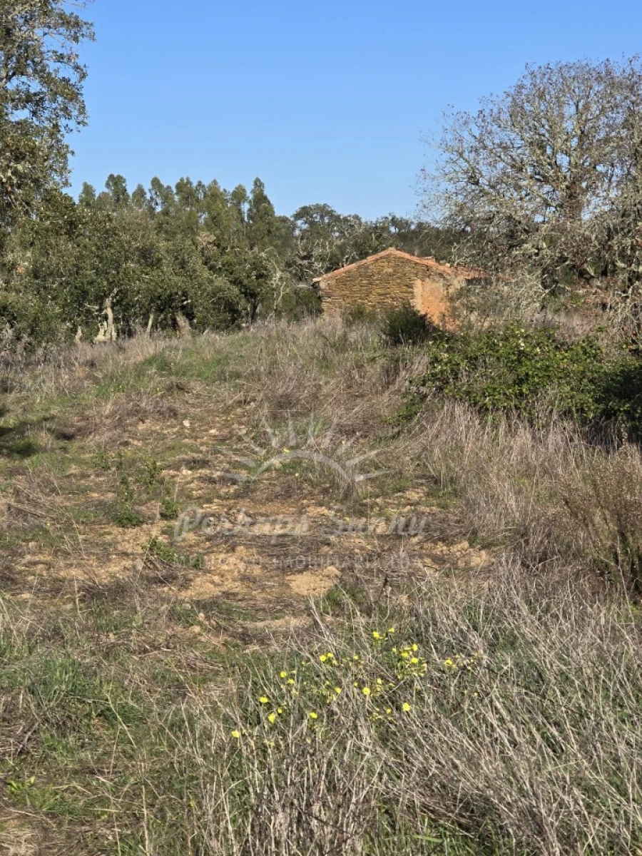 Terreno Misto para Venda em Reliquias Foto 9