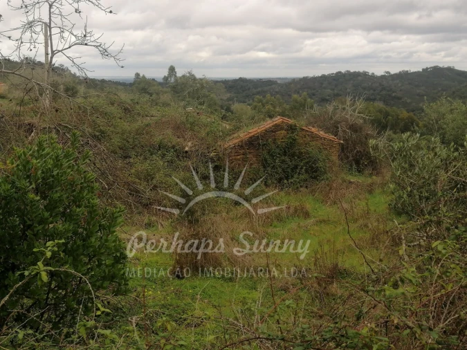 Terreno Misto para Venda em Reliquias Foto 8