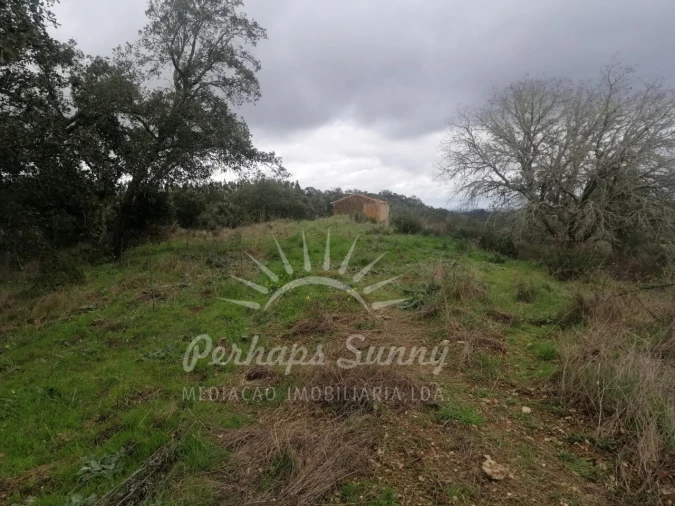 Terreno Misto para Venda em Reliquias Foto 19