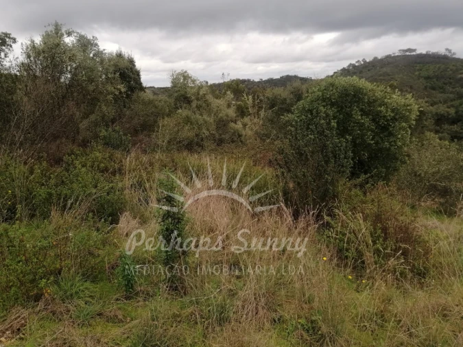 Terreno Misto para Venda em Reliquias Foto 21