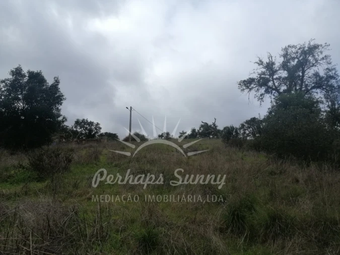 Terreno Misto para Venda em Reliquias Foto 22
