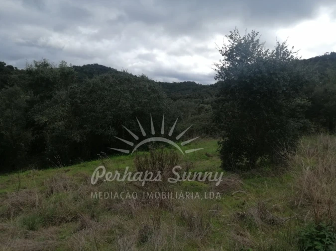 Terreno Misto para Venda em Reliquias Foto 23