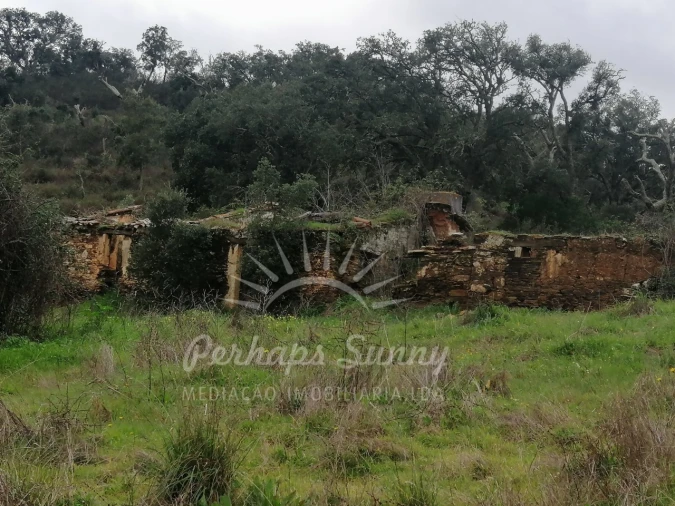 Terreno Misto para Venda em Reliquias Foto 12