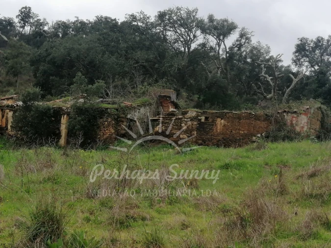 Terreno Misto para Venda em Reliquias Foto 2