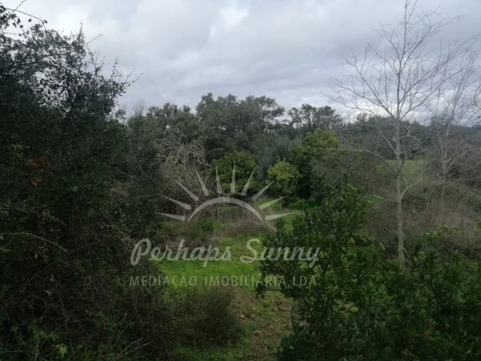 Terreno Misto para Venda em Reliquias Foto 24