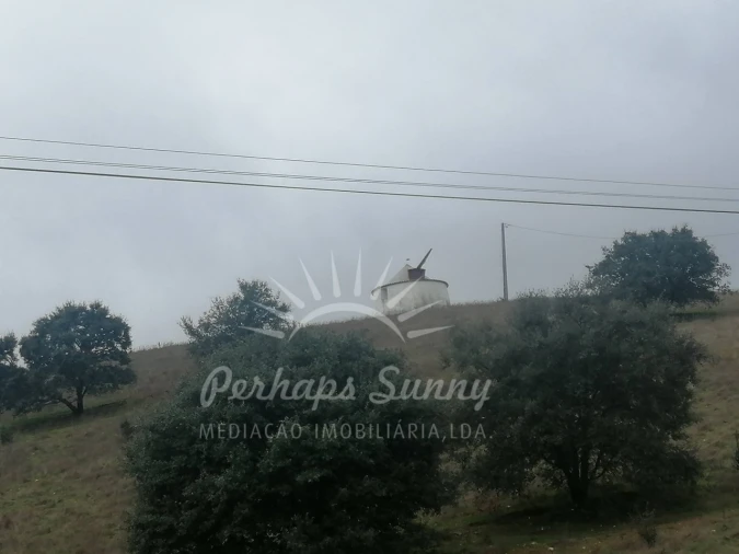 Terreno Misto para Venda em Reliquias Foto 28