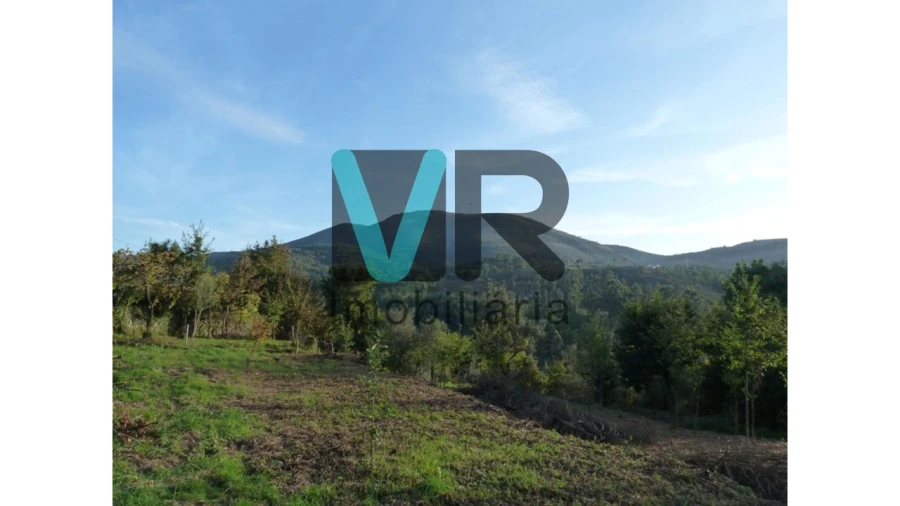 Moradia T3 para Venda em Ruivães e Campos Foto 7