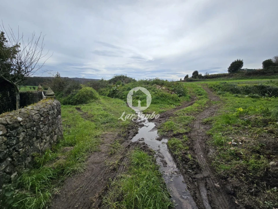 Terreno Agricola ou Rústico para Venda em Aver-O-Mar, Amorim e Terroso Foto 8