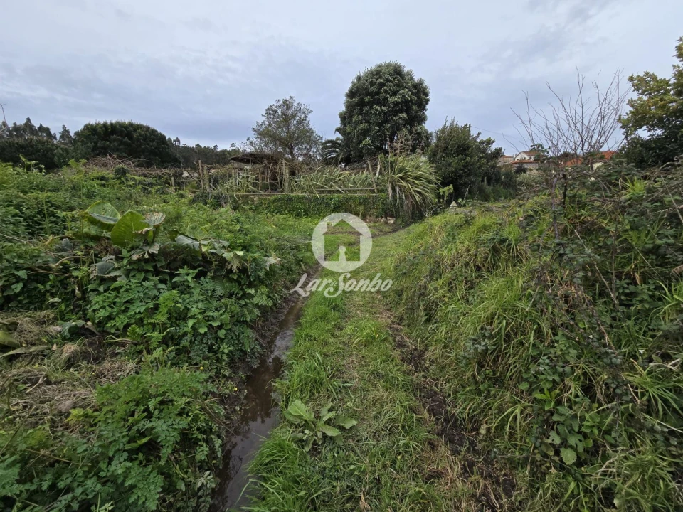 Terreno Agricola ou Rústico para Venda em Aver-O-Mar, Amorim e Terroso Foto 10