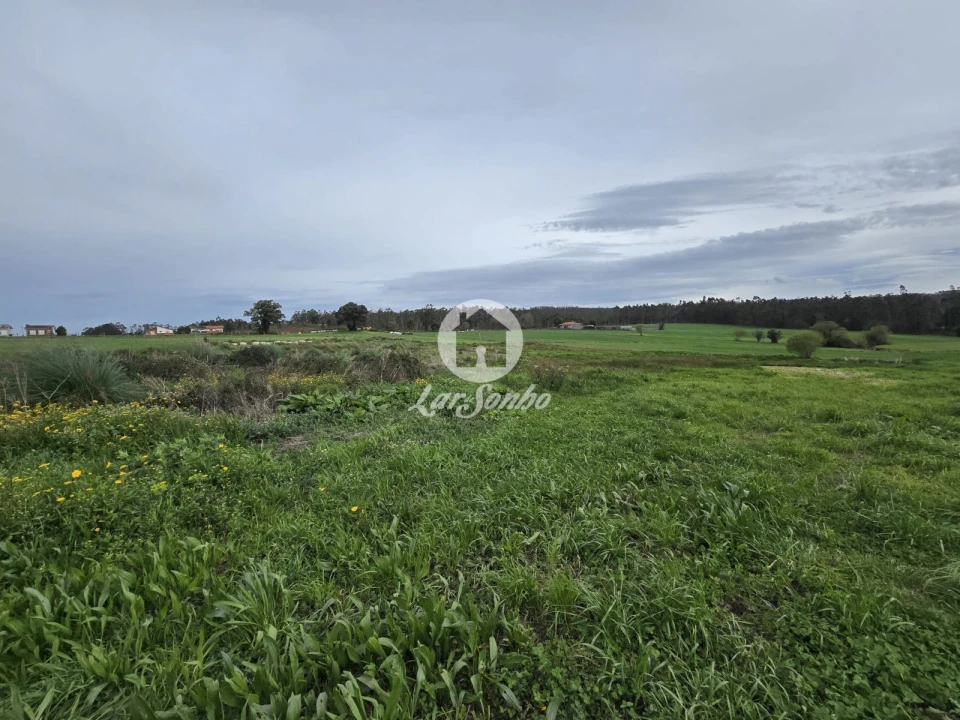 Terreno Agricola ou Rústico para Venda em Aver-O-Mar, Amorim e Terroso Foto 20