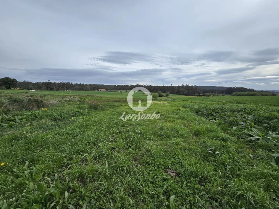 Terreno Agricola ou Rústico para Venda em Aver-O-Mar, Amorim e Terroso Foto 22