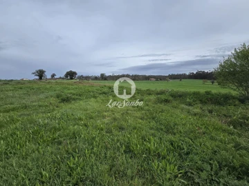 Terreno Agricola ou Rústico para Venda em Aver-O-Mar, Amorim e Terroso