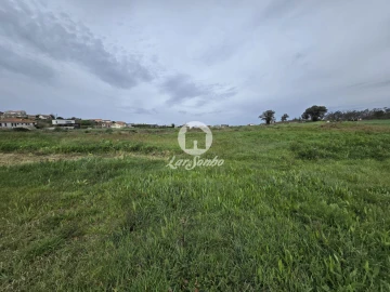 Terreno Agricola ou Rústico para Venda em Aver-O-Mar, Amorim e Terroso