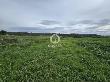 Terreno Agricola ou Rústico para Venda em Aver-O-Mar, Amorim e Terroso