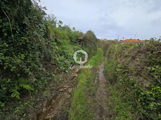 Terreno Agricola ou Rústico para Venda em Aver-O-Mar, Amorim e Terroso Foto 12