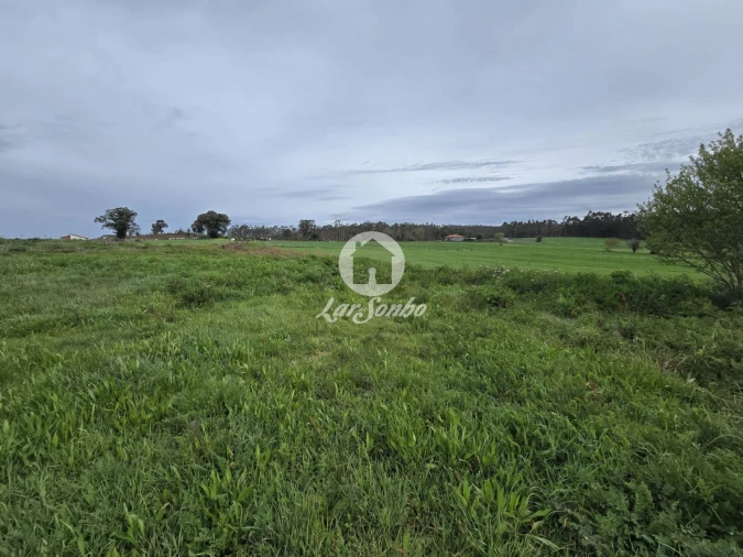 Terreno Agricola ou Rústico para Venda em Aver-O-Mar, Amorim e Terroso Foto 18