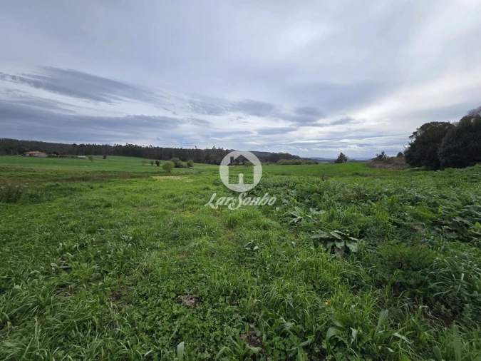 Terreno Agricola ou Rústico para Venda em Aver-O-Mar, Amorim e Terroso Foto 21