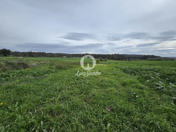 Terreno Agricola ou Rústico para Venda em Aver-O-Mar, Amorim e Terroso Foto 22