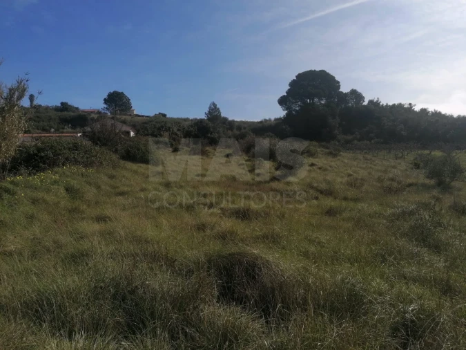 Terreno para Venda em Alhandra, São João dos Montes e Calhandriz Foto 8