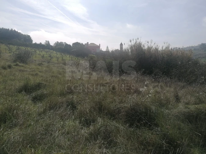 Terreno para Venda em Alhandra, São João dos Montes e Calhandriz Foto 4