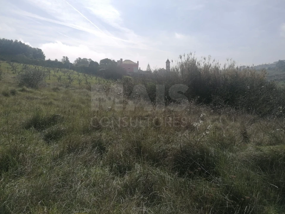 Terreno para Venda em Alhandra, São João dos Montes e Calhandriz Foto 4