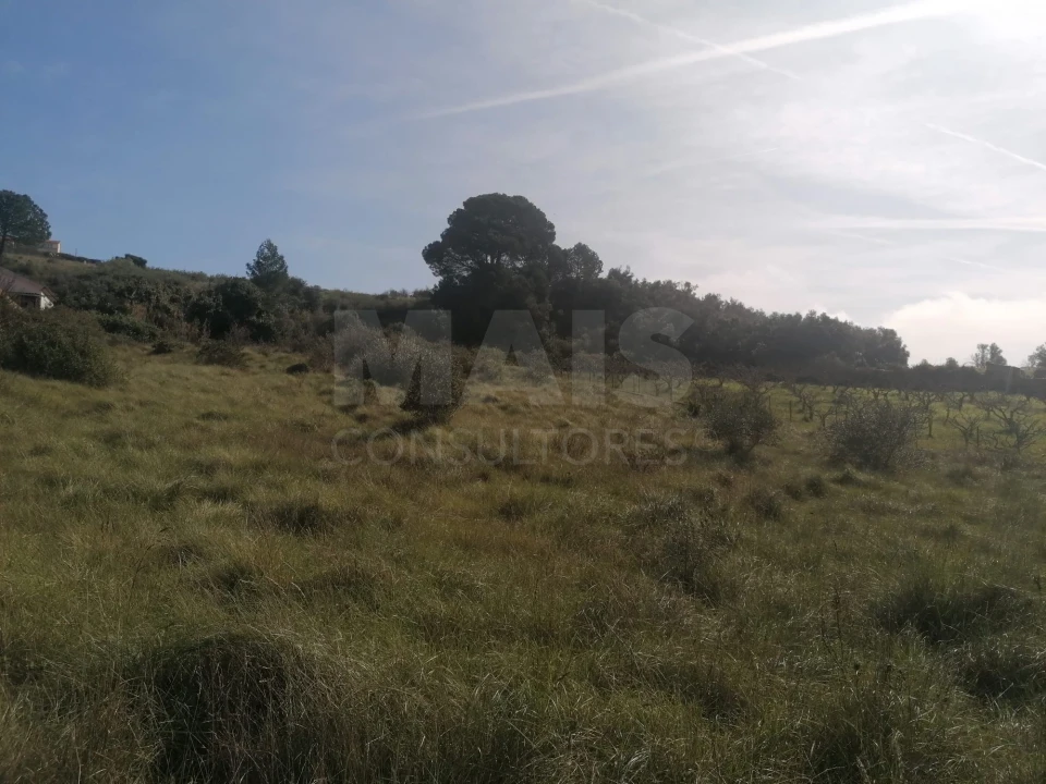 Terreno para Venda em Alhandra, São João dos Montes e Calhandriz Foto 9
