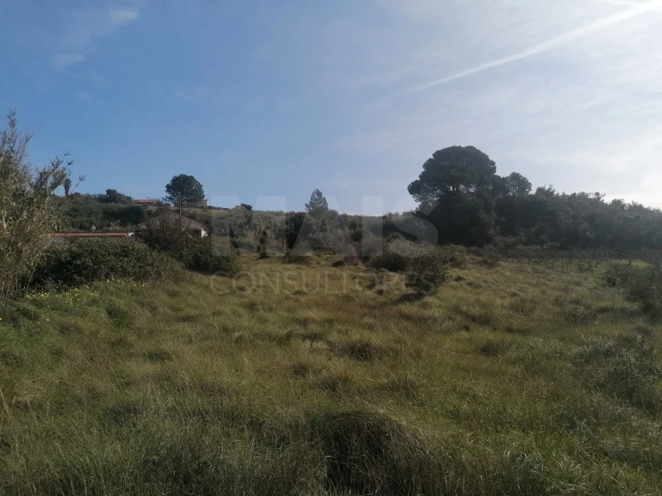 Terreno para Venda em Alhandra, São João dos Montes e Calhandriz Foto 10